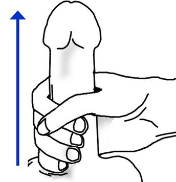 Masturbation technique to raise a member